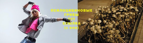 молекула духа Вязники